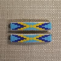 Barrette Set, Small #585-F 