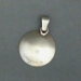 Pendant-3/4" dish - MPD01