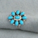 Ring #851V - 851V