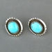 Earrings-Turquoise - 103V-T