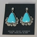 Earrings-Turquoise - 1160VX