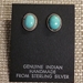 Earrings-Turquoise Posts - 257V